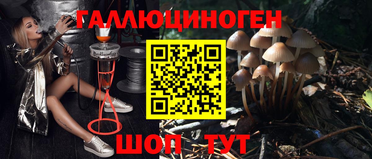 Псилоцибиновые грибы прущие грибы  Псилоцибиновые грибы мицелий  Вход с VPN  Ишим 