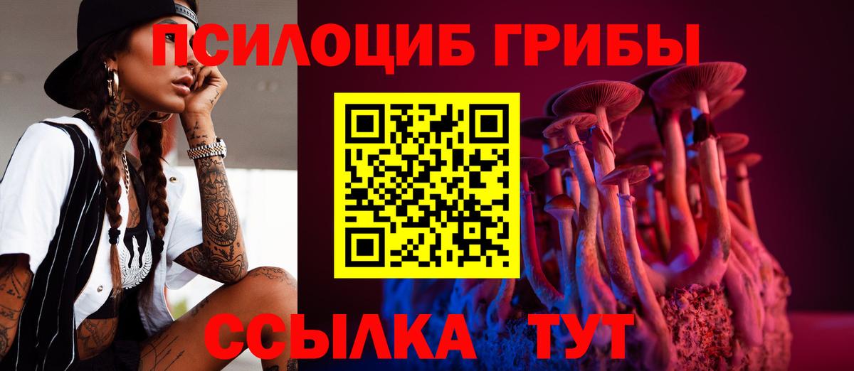 Псилоцибиновые грибы Psilocybe Ишим